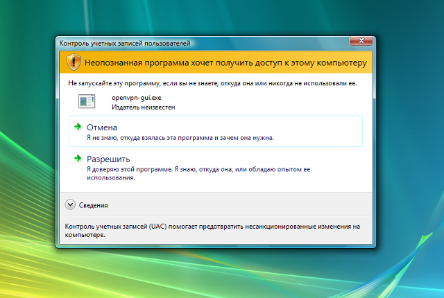 Настройка OpenVPN на Windows Vista, шаг 15