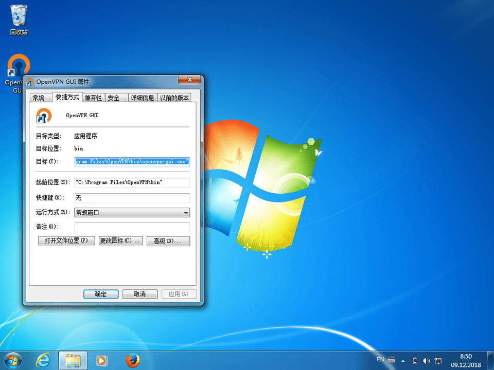 Setting up OpenVPN on Windows 7, step 10