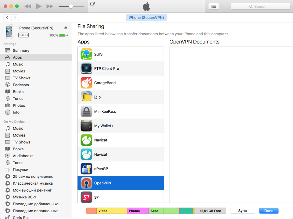 Setting up OpenVPN on iOS, step 2