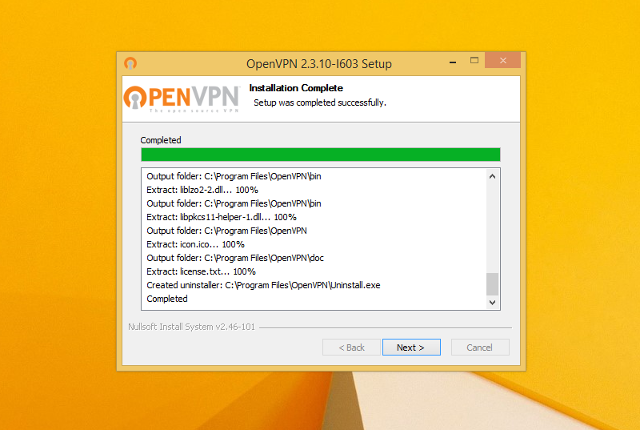 Setting up OpenVPN on Windows 8, step 8