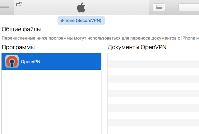 Настройка OpenVPN на iOS, шаг 2
