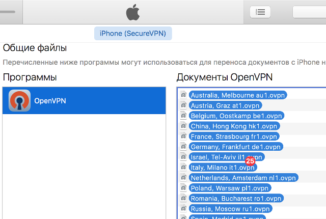 Настройка OpenVPN на iOS, шаг 4